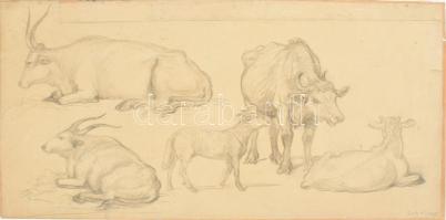 Lotz K. jelzéssel (Lotz Károly?): Állatrajzok. Ceruza, papír. Papírra kasírozva. Szakadásokkal, hajtásnyommal. 29×57 cm