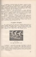 Ferdinandy Gejza: Papirosgyártás. Budapest, 1948. Ipari Tanfolyamok Országos Vezetősége (Szikra Irod...