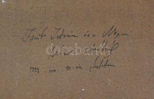 Schéner Mihály (1923-2009): Szent István és a népe, 1999. Olaj, farost, jelezve jobbra lent, hátolda...