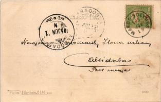 1905 Déva, látkép, vár. Hirsch Adolf kiadása / general view with castle (fl)