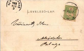 1902 Törcsvár, Törzburg, Bran-Poarta, Bran; vár. Chromophototypie von Jos. Drotleff / castle (fl)