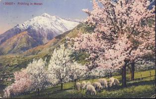 Merano springtime