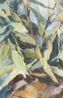 Piroska János (1894-1987) Csendélet, 1960. Akvarell, papír. Jelezve balra lent. Üvegezett, dekoratív...