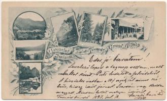 1897 (Vorläufer!) Tusnádfürdő, Baile Tusnad; szecessziós-virágos mozaiklap részletekkel / details. Art Nouveau, floral (gyűrődés / crease)