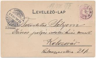 1897 (Vorläufer!) Tusnádfürdő, Baile Tusnad; szecessziós-virágos mozaiklap részletekkel / details. A...