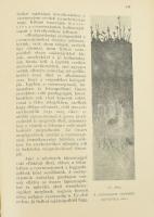 Ballenegger Róbert: A termőföld. Bp., 1921, Ethika. 190p. Szövegközti ábrákkal. Korabeli félvászon k...