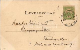 1905 Gyulafehérvár, Karlsburg, Alba Iulia; Hunyady tér, vaskereskedés, városi vendéglő, étterem. Pap...