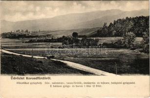 1907 Korond, Korondfürdő, Corund; klimatikus gyógyhely, fürdő / spa (EK)