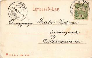 1905 Temesvár, Timisoara; Temes-Béga palota. D.T.C., L. 22728. / palace (EB)