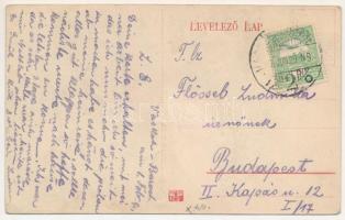 1911 Vaskoh-Barest, Körösbarafalva, Vaskóh, Coh, Vascau; utca részlet, vasútállomás, vonat / street,...