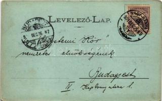 1901 Nagybánya, Baia Mare; Magyar utca. Molnár Mihály kiadása / street (ázott sarok / wet damage)