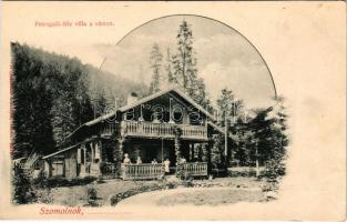 Szomolnok, Schmölnitz, Smolník; Petrogalli féle villa a vámon. Wlaszlovits Gusztáv kiadása / villa (EK)