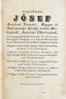 A Szepesy Ignác-féle Bibliakiadás: Szent Írás, vagyis az ó szövetségnek szent könyvei. I. köt. Fordí...