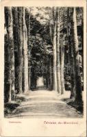 1910 Aranyosmarót, Zlaté Moravce; parkrészlet. A képeslap feladója Dr. Moetz Gusztáv botanikus, muzeológus, címzettje dr. Varjú Elemér múzeumi igazgató. Brunczlik I. kiadása / park (gyűrődés / crease)