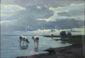 Edvi Illés Aladár (1870-1958): Balatonpart tehenekkel. Olaj, vászon. Jelezve jobbra lent. Dekoratív,...