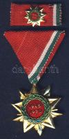 "Felszabadulási Jubileumi Emlékérem" kitüntetés, miniatűrrel T:2 Eredeti díszdobozban!