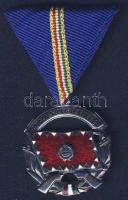 A Haza Szolgálatáért Érdemérem ezüst fokozata, szalaggal T:1/2 Eredeti díszdobozban!