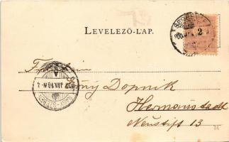 1900 Segesvár, Schässburg, Sighisoara; Petőfi Sándor szobra, fejéregyházi honvédemlék a turulmadárró...