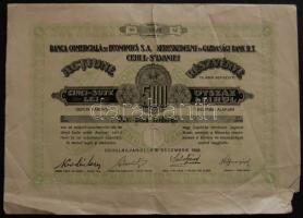 Románia 1926. Cehul-Silvaniei Kereskedelmi és Gazdasági Bank R.T. részvénye 500L-ről, magyar és román nyelven, szelvényekkel