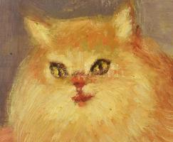 Réti Mátyás (1922-2002): Vörös perzsa macska (cica). Olaj, farost, jelezve jobbra lent, a hátoldalán...