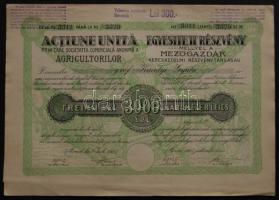 Románia 1923. Arad-Mezőgazdák Kereskedelmi Részvénytársaság részvénye 3000L-ről 300L 1929-es bélyegzővel, magyar és román nyelven (2x) egymásutáni sorszámokkal, szelvényekkel