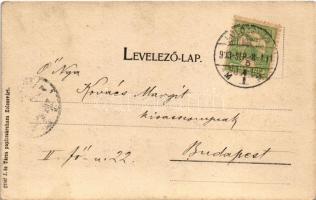 1903 Kolozsvár, Cluj; Mikó utca a Klinikákkal. A szövegben utalás Rigler Gusztáv (1868-1930) orvospr...