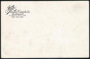 cca 1914 Stein Budapest Bécsi utcai perzsaszőnyeg kereskedő reklámkarton lapja, szép állapotban