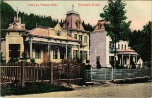 1909 Borszék, Borsec; Török és Vaicsuk villák. Divald Károly 1935-1908. / villas