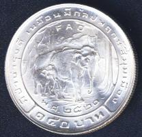 Thaiföld 1977. 150B Ag "FAO" T:BU Tanúsítvánnyal!