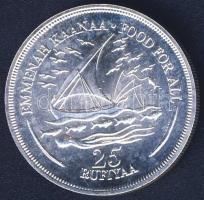 Maldív-szigetek 1978. 25R Ag "FAO" T:1/2+ Csak 7140db! Tanúsítvánnyal!