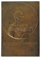 ~1930. "Isseni Iszer Károly - 1858 Budapesti Torna Club" egyoldalas bronz plakett, nem hozzá tartozó, utólagos gravírozással (65x46mm) T:XF hátoldalán ragasztónyom
