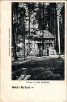 1905 Marilla, Marillavölgy, Marila; Gross Gyula áruháza, üzlete és saját kiadása / publisher's shop (kopott sarkak / worn corners)