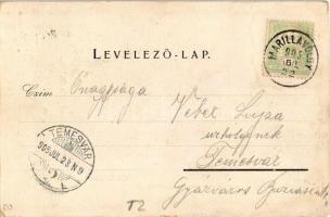 1905 Marilla, Marillavölgy, Marila; Gross Gyula áruháza, üzlete és saját kiadása / publisher's ...