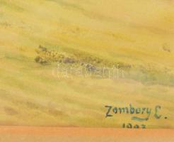 Zombory Lajos (1867-1933): Táj, 1903. Akvarell, papír, jelzett. Üvegezett, sérült fakeretben , 25×18...