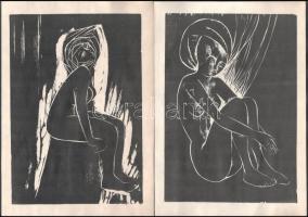 Molnár Dénes: Fordított sorok. H.n., é.n. Kiadói papír mappa, jó állapotban