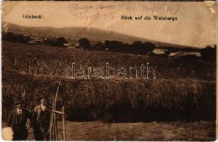 Odobesti, Blick auf die Weinberge / vineyards (glue marks)