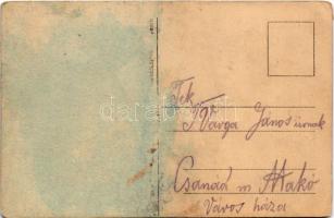 Odobesti, Blick auf die Weinberge / vineyards (glue marks)