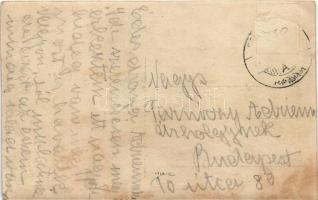 Medne, Medné (Lednicróna, Lednické Rovne); Mednyánszky kastély. A képeslap címzettje alsólelóczi és ...