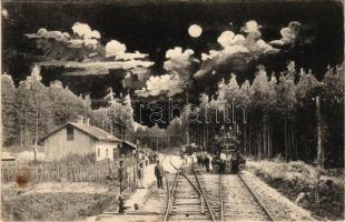 Tiszolc, Tisovec; Fenyves fogaskerekű vasútállomás, gőzmozdony, este / Zbojská cogwheel railway station by night (fl)