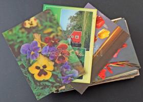 Kb. 100 db MODERN motívum képeslap: üdvözlőlapok / Cca. 100 MODERN motive postcards: greeting cards