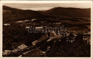 Farkaslyuk, Rimamurányi-Salgótarjáni Vasmű rt. Kőszénbánya látképe, iparvasút. B.J. Bp. (felületi kopás / worn surface)