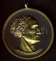 NSZK 1949. "Bundesfest - Stuttgart" Br emlékérem T:1/2+ f.