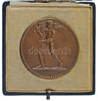 Németország 1925. "Fridericiana 1825-1925" kétoldalas bronz emlékérem a karlsruhe-i Műszaki Egyetem alapításának 100. évfordulója alkalmából, eredeti, "Technische Hochschule Fridericiana Karlsruhe 1825-1925" feliratú tokban. Szign.: Heinrich Ehehalt (1879-1938). (45mm) T:UNC / Germany 1925. "Fridericiana 1825-1925" double-sided bronze commemorative medal on the occasion of the 100th anniversary of the founding of the Karlsruhe University of Technology, in original case, labeled "Technische Hochschule Fridericiana Karlsruhe 1825-1925". Sign.: Heinrich Ehehalt (1879-1938). (45mm) C:UNC