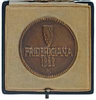 Németország 1925. "Fridericiana 1825-1925" kétoldalas bronz emlékérem a karlsruhe-i Műszak...