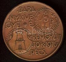 1976. "900 éves a Dukász-korona" Br emlékérem T:1