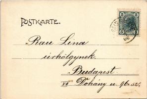 1906 Mali Losinj, Lussinpiccolo; Vegetations-Gruppe, Cigale. Verlag B. Lergetporer