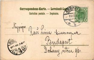 1907 Abbazia, Opatija; Slatina Promenade (EK)