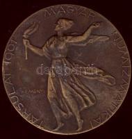 1991. "Magyar Numizmatikai Társulat" Br emlékplakett T:2