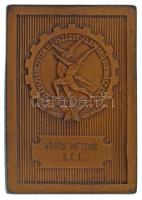 1952. "Szakszervezetek II. Országos Alapfokú Tornász Cs.B. (Csapatbajnoksága)" egyoldalas bronz díjplakett, "Vörös Meteor SE I." gravírozással (60x88mm) T:XF patina
