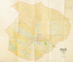 cca 1922 Cegléd sz. királyi város külterületi térképe . dr. Kádár Antal. 96x95 cm